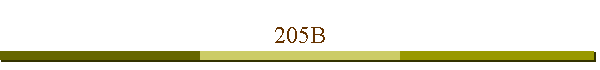 205B