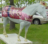 "Bucky" Horses on Parade